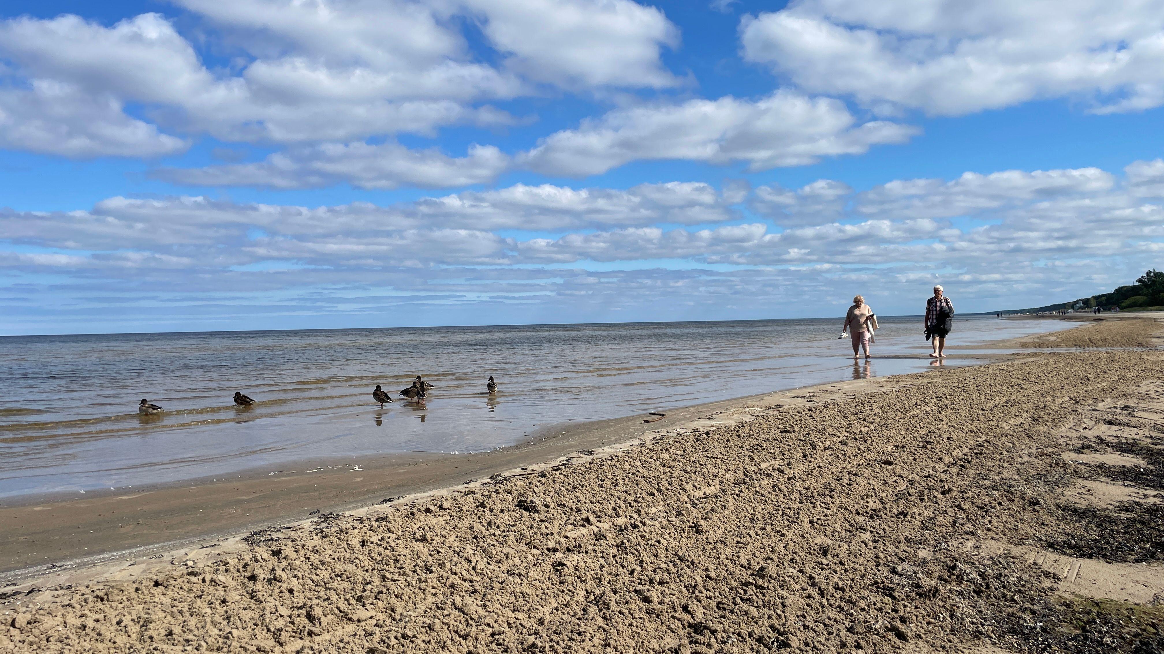 Razglednica Rige: Secesija, zaliv i pijaca 13 plaža u Letoniji