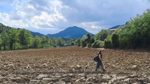 Od 6. do 11. oktobra, projekt IMPORT/EXPORT, podržan od strane Kreativne Evrope i osnovan od strane šest nezavisnih umetnika u saradnji sa Umetničkim kolektivom U10, oživljava grad sa 10 javnih izvođenja međunarodnih i lokalnih umetnika, radionicama, rezidencijama i predavanjima, kao i sa dve večeri performansa otvorenih za publiku Beograda.