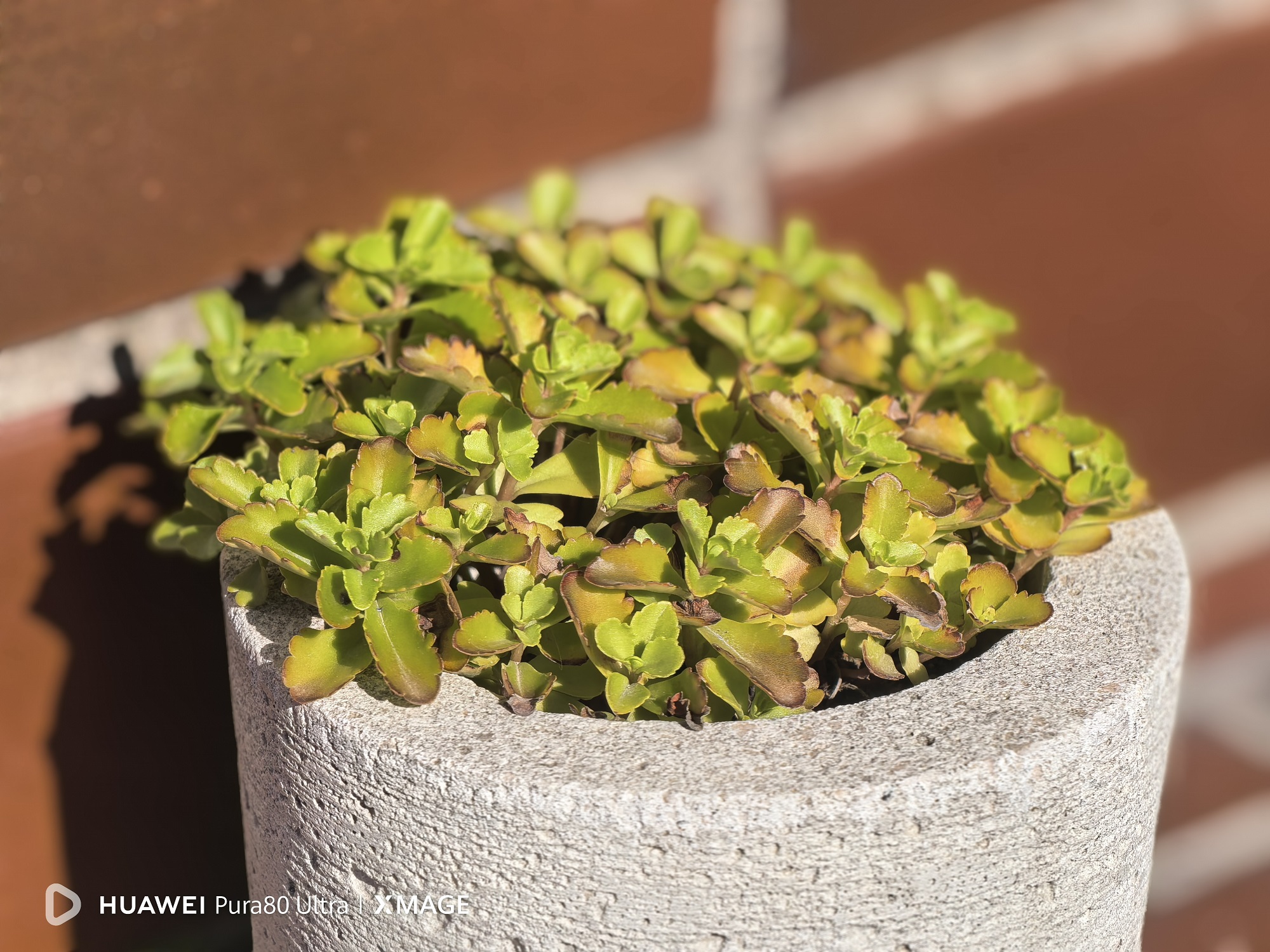 Od svetlosti do slike: Šta sve staje u jedan kadar novog Huawei Pura 80 Ultra telefona 2