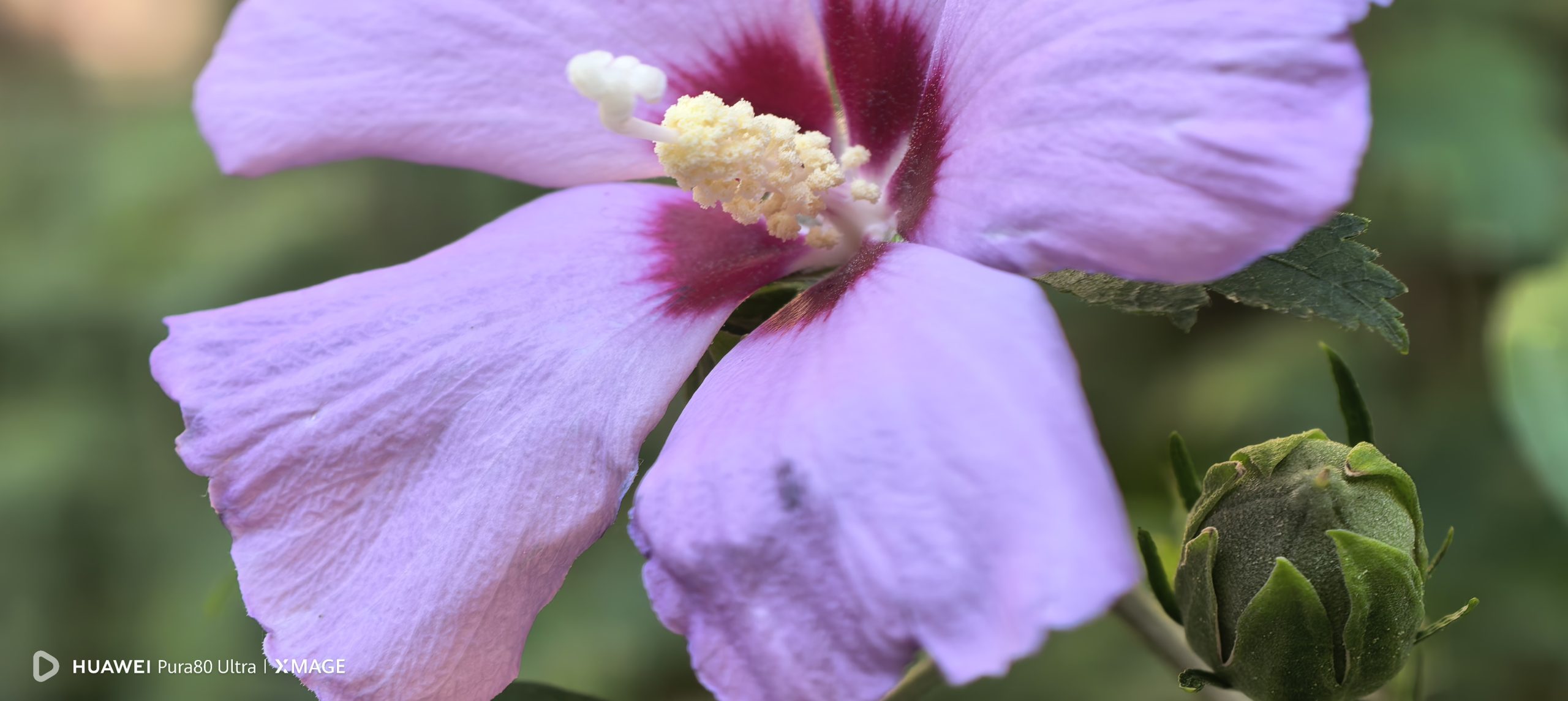 Od svetlosti do slike: Šta sve staje u jedan kadar novog Huawei Pura 80 Ultra telefona 4