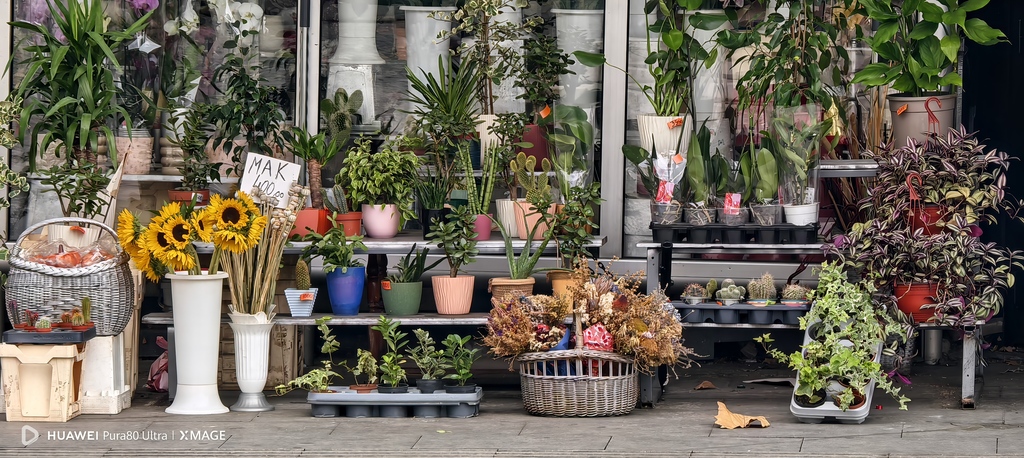 Mali vodič za velike fotografije: Kako da Beograd izgleda kao evropska razglednica 5 Mali vodič za velike fotografije: Kako da Beograd izgleda kao evropska razglednica 5