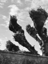 Prva samostalna izložba rediteljke Maje Uzelac: Second Hand Emotion 3