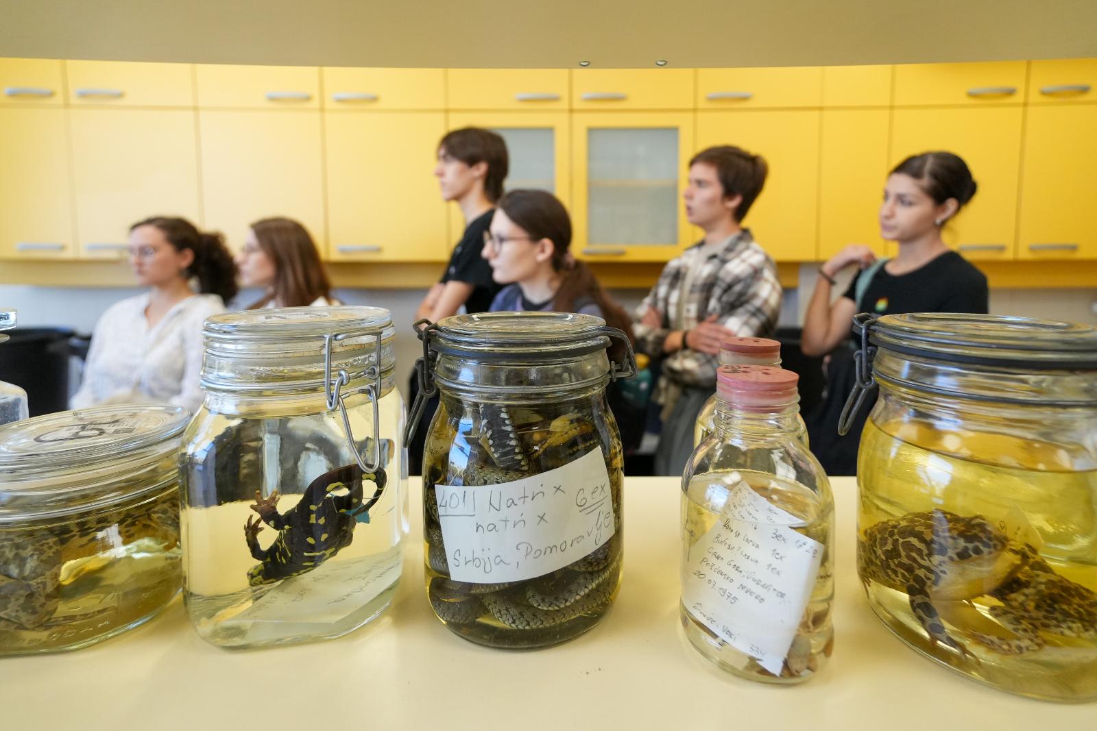 Znanjem protiv gladi, mitova i dosade – startuje zalet za 16. Evropsku noć istraživača 2