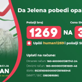 Jeleni je potrebna naša pomoć za lečenje u inostranstvu 3