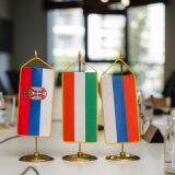 Đedović Handanović: Izgradnja naftovoda između Mađarske i Srbije strateški značajan projekat 8