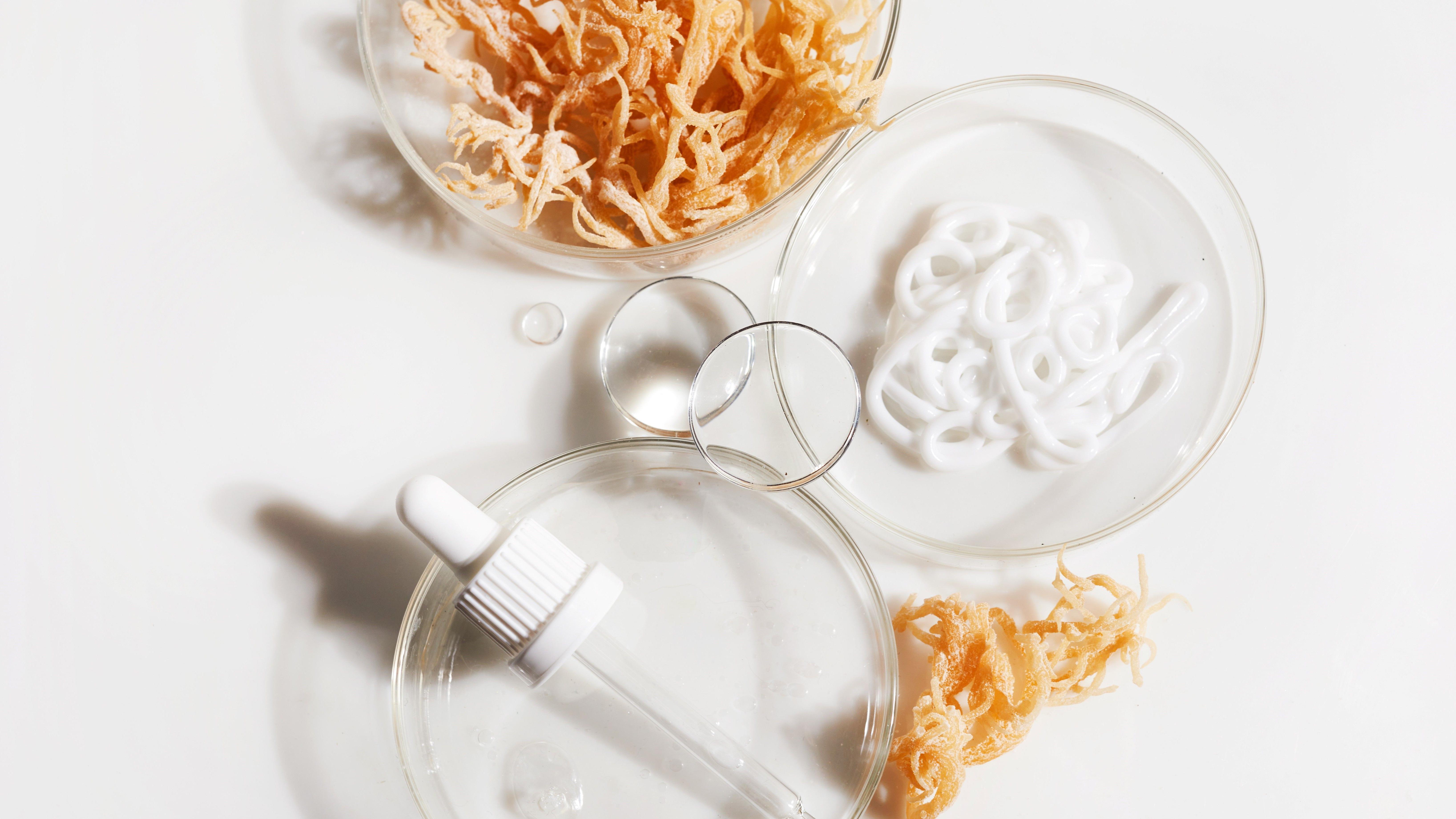 Morska mahovina - superhrana ili prolazni zdravstveni trend 2 Morska mahovina, pipeta i laboratorijsko posuđe