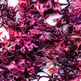 Morska mahovina - superhrana ili prolazni zdravstveni trend 7