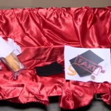 Performans protest SNS kovčeg