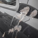 Kako ukloniti ptičji izmet sa automobila bez oštećenja laka 3