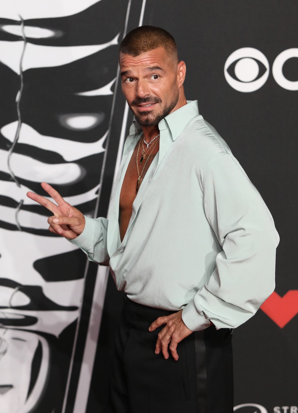 Ko je sve trijumfovao na MTV VMA nagradama: Ovo su pobednici 3 Riki Martin