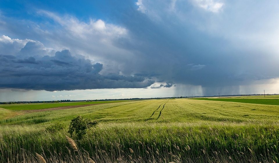 Šta su suve oluje i kakve veze imaju sa šumskim požarima? 1
