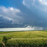 Šta su suve oluje i kakve veze imaju sa šumskim požarima? 3