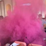 "Republika je pala, režim je danas suspendovao Ustav naše zemlje": Zaječarci pozivaju na protest 3