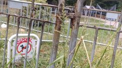 Ćaci kad planira, a Bog se smeje: Ima li zime za Ćacilend? 3