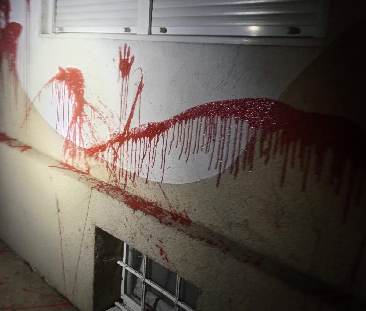 Uništena kuća aktivistkinje u Odžacima: Nepoznati vandali išarali fasadu crvenom bojom, ostavili i otiske crvene šake 2