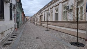 Srbija do 1. maja 2028. godine ima nameru da obriše držaoce iz katastra. Svako ko je upisan kao držalac, a ne kao vlasnik, odnosno ne upiše prava svojine, katastar će ga automatski izbrisati. Šta će biti nakon toga sa tim nekretninama, još niko ne zna.