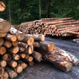 Naučnici razvili postupak koji otpad od drveta pretvara u supstance za lekove 3