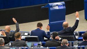 Potpredsednica Socijalista i demokrata u EP: Ne treba nam kampanja Srbije u Briselu 1