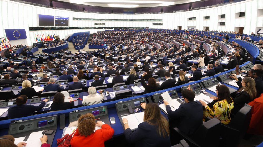 Zašto i da li su samo „zeleni“ iz EU direktni u podršci studenata i građana protiv režima Vučića? 7