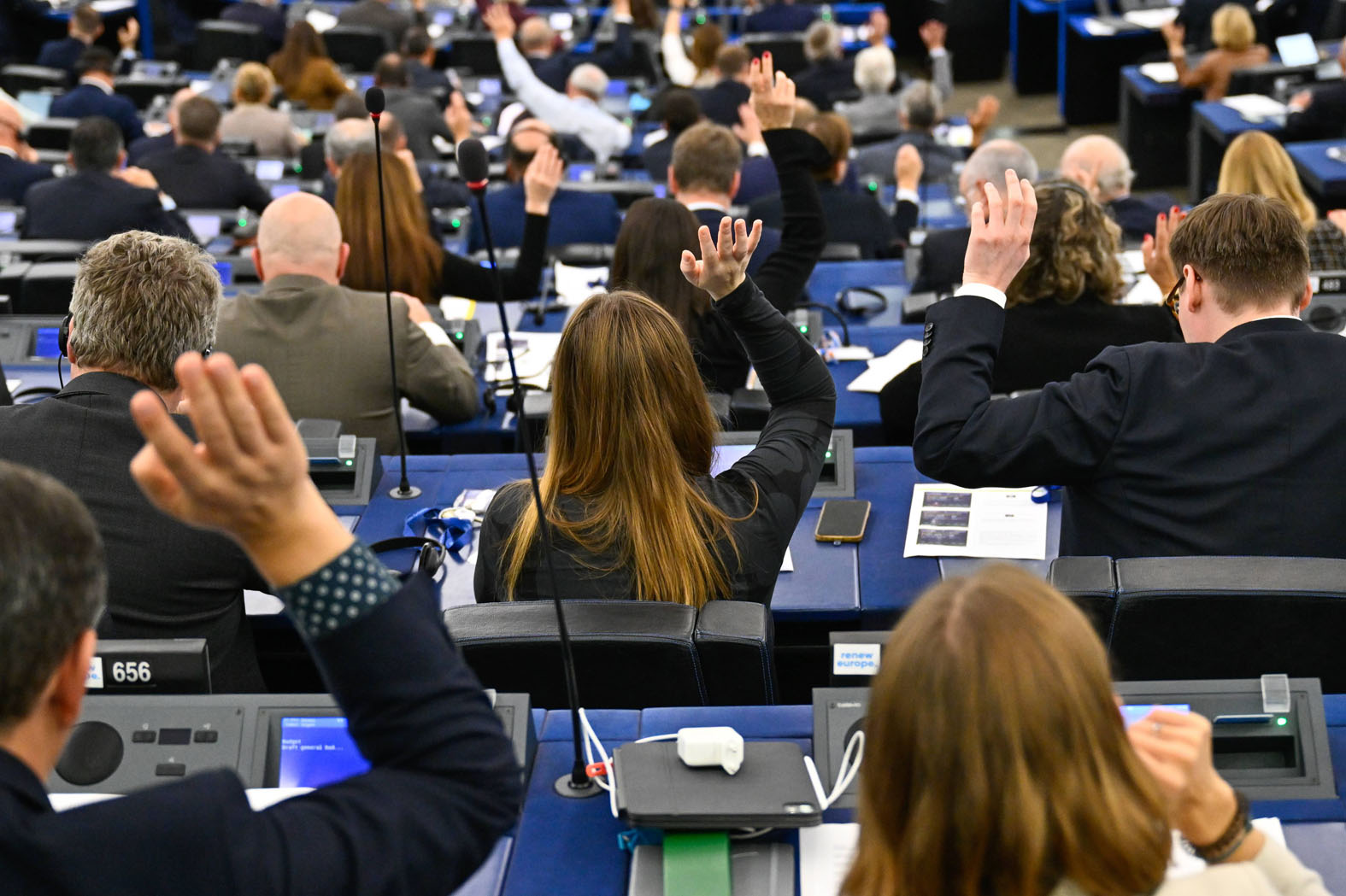 Sve što treba da znate o misiji Evropskog parlamenta u Srbiji 2