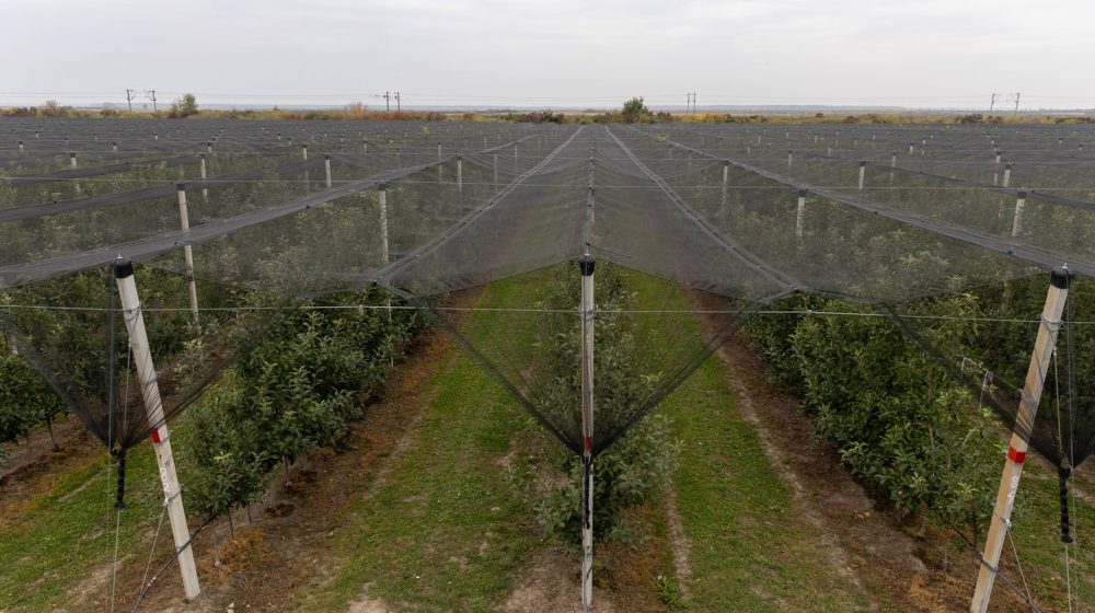 EEA: Klimatske promene najviše pogađaju tri sektora, ulaganje u njih bi smanjilo gubitke od više milijardi evra 5