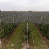 EEA: Klimatske promene najviše pogađaju tri sektora, ulaganje u njih bi smanjilo gubitke od više milijardi evra 9