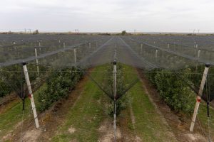 EEA: Klimatske promene najviše pogađaju tri sektora, ulaganje u njih bi smanjilo gubitke od više milijardi evra 24