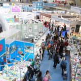 Čarobna reč solidarnost 2