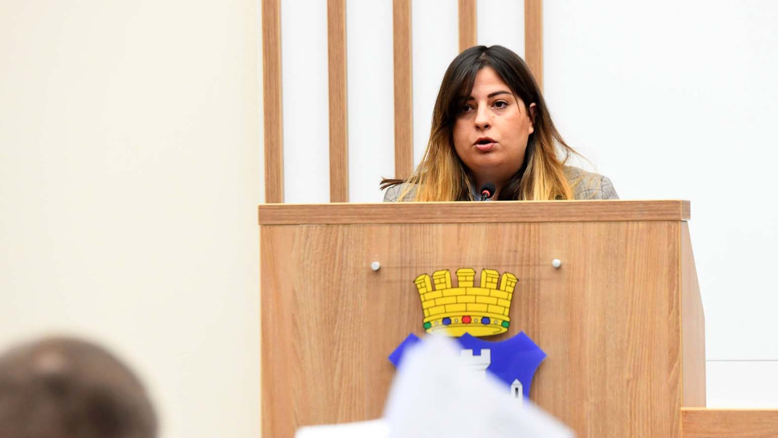 "Dok grad grca u dugovima on predlaže svetionike": Sagovornici Danasa o Šapićevim novim projektima 3