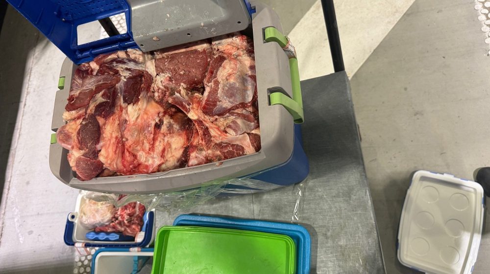 Švercovali 140 kilograma svežeg mesa u prtljažniku autobusa 1