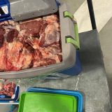 Švercovali 140 kilograma svežeg mesa u prtljažniku autobusa 4