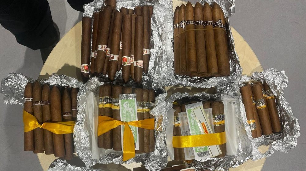 Carinici na aerodromu "Nikola Tesla" zaplenili 545 tompusa 1