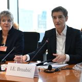 Ana Brnabić rekla da je pokušala da članovima Bundestaga objasni šta se dešava u Srbiji 7