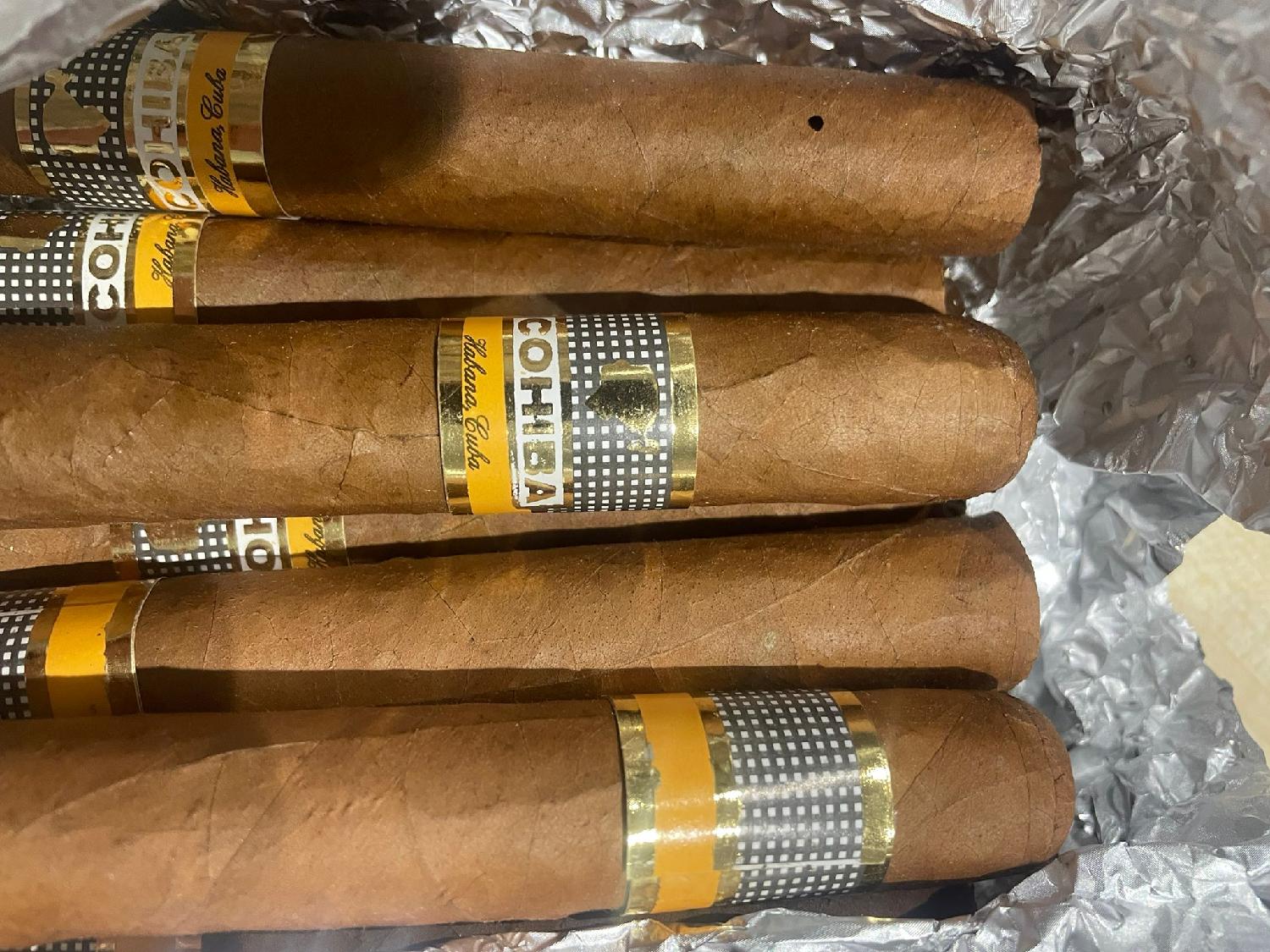 Carinici na aerodromu "Nikola Tesla" zaplenili 545 tompusa 2