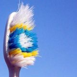 Na vašoj četkici za zube bujaju bakterije - vreme je da je promenite 3