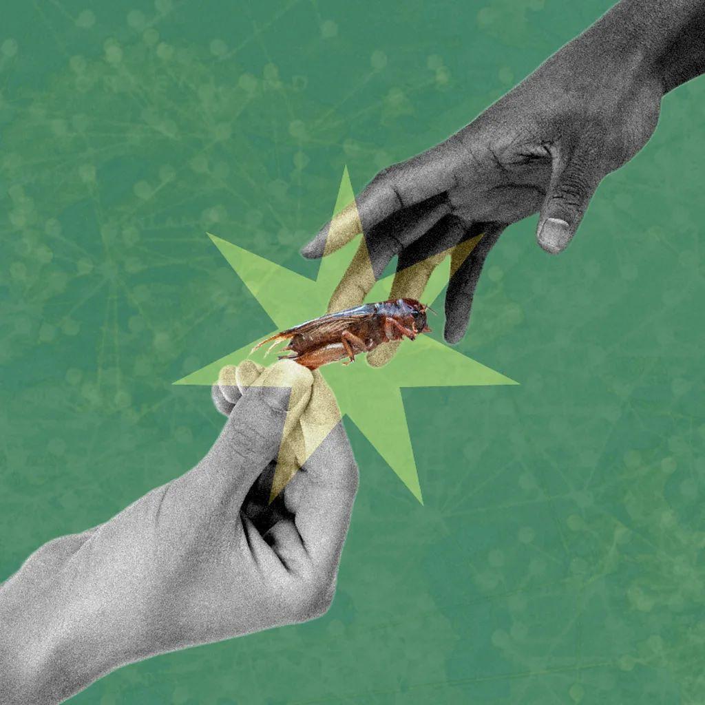 ilustracija - jedna ruka pruža drugoj ruci insekta 