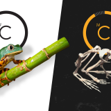 Ugljenik-14: Zračenje i kanalizacija pomogli u otkrivanju zločina i tajni istorije 4