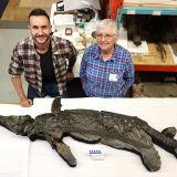 Otkriven 'mač-zmaj', vrsta koja je živela pre 185 miliona godina 6