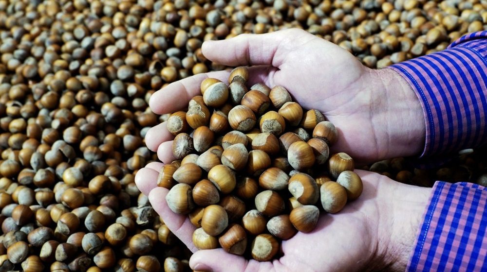 Glamočić: Saradnja sa kompanijom Ferero jedan od najuspešnijih primera direktnih stranih investicija 1