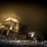 Čarolija prirode kroz objektiv: Najbolje fotografije sveta divljine 8