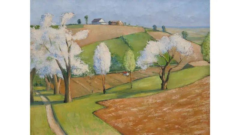 Četiri velike pljačke muzeja u Srbiji 4 Rasvetalo drveće i zelene površine