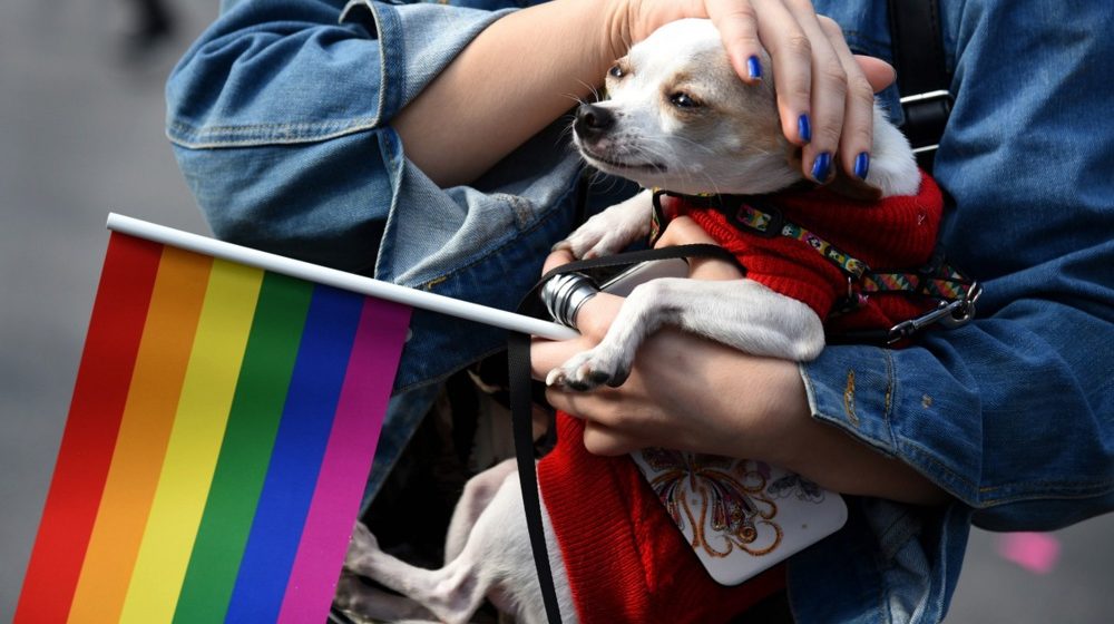 Održana 13. Parada ponosa u Podgorici 1