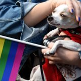 Održana 13. Parada ponosa u Podgorici 1