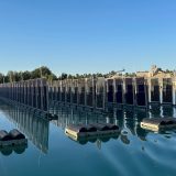 Puštena u rad prva plutajuća solarna elektrana sa uspravnim panelima 6