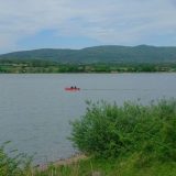 Na Gružanskom jezeru pomor ribe zbog virusa, nisu ugroženi potrošači vode sa akumulacije 5