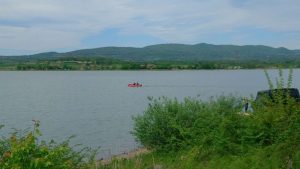 Na Gružanskom jezeru pomor ribe zbog virusa, nisu ugroženi potrošači vode sa akumulacije 2