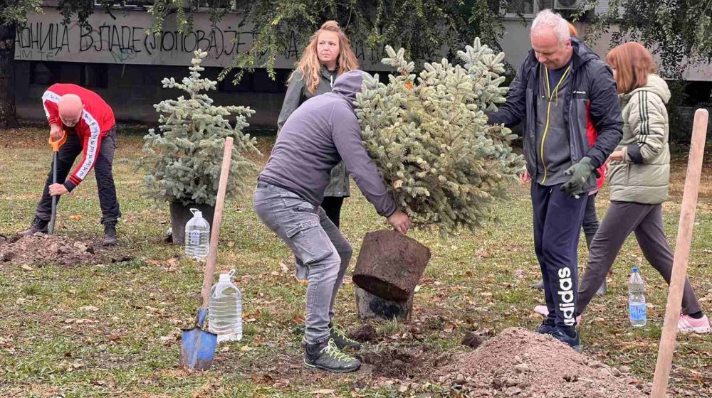 Limanci posadili 16 stabala u spomen 16 žrtava pada nadstrešnice 1
