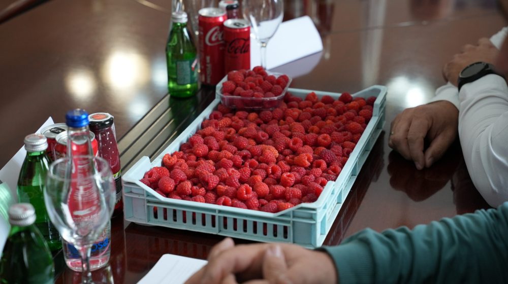 Ministar poljoprivrede u Arilju: Malinarstvo u Srbiji mora da ima poseban tretman 1