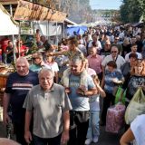 Marinković (SSP): Zašto građanima Topole nisu dostupni finansijski izveštaji Oplenačkih berbi? 7
