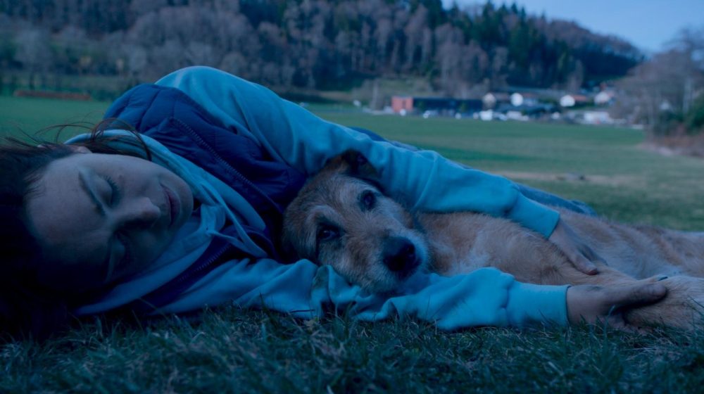 Politički nekorektna komedija o pravu na (pseći) život – „Pas na sudu” u domaćim bioskopima 1